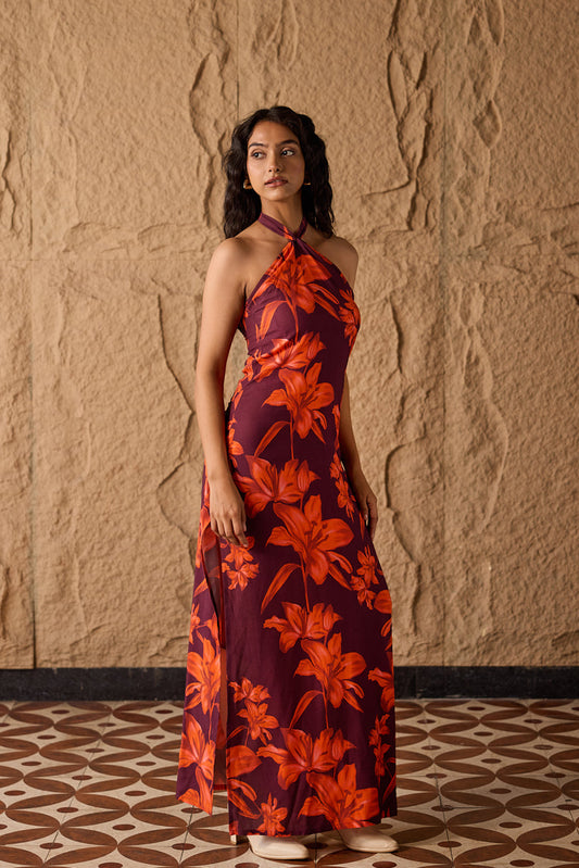 Ochra Halter Neck Dress